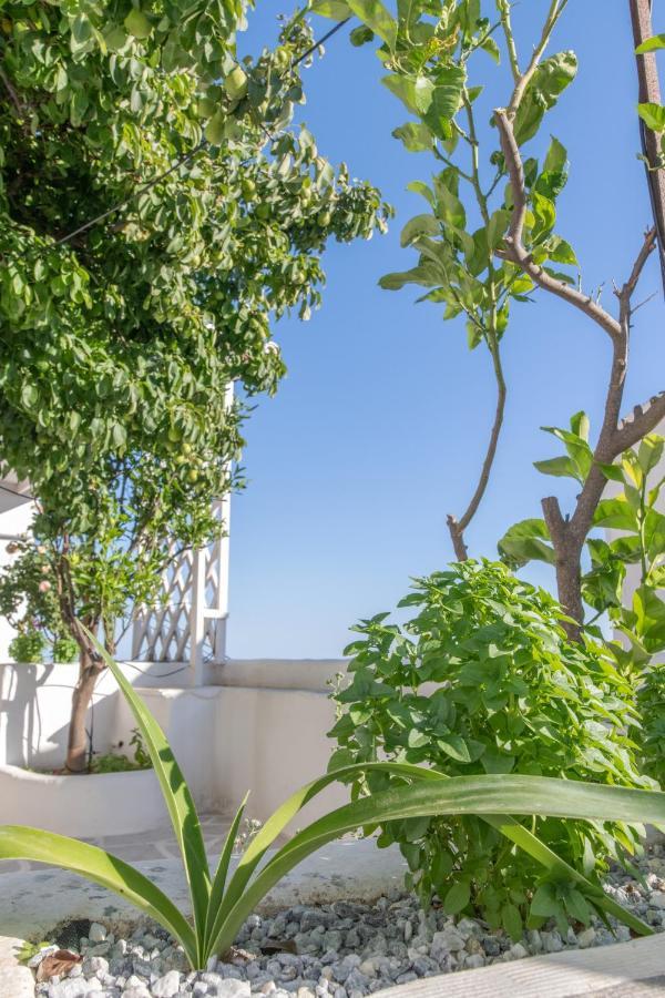 Villa Myroviglia Ysternia à Istérnia Extérieur photo